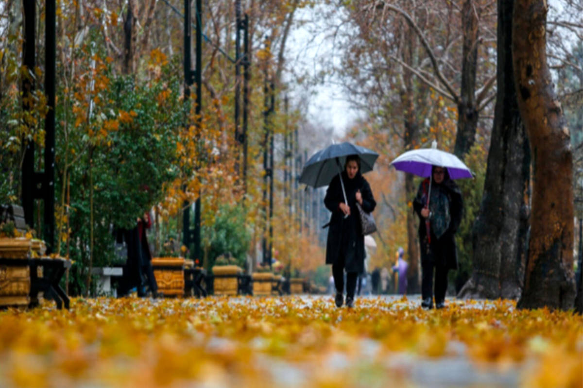 بارانی که پس از مدت ها،مهمان زمین تشنه شد