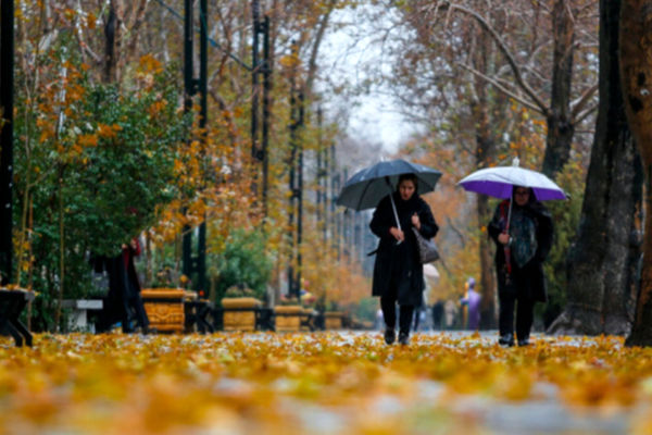 بارانی که پس از مدت ها،مهمان زمین تشنه شد