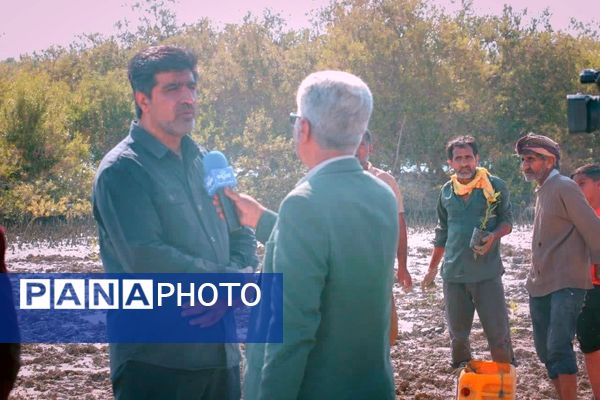 ۲۵۰۰‌ اصله‌ نهال‌حرا‌ در‌ بندرخمیر‌ کاشته‌ شد