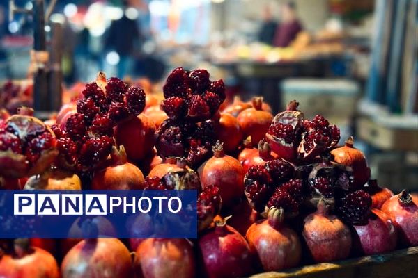 هرچه می‌گذرد، بیشتر به شبی سردتر و طولانی‌تر نزدیک می‌شویم