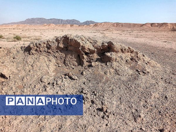  قوژد کهن؛ نگین روستاهای کاشمر