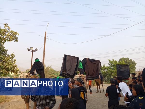 آیین باشکوه کاروان شام تا کربلا در میناب
