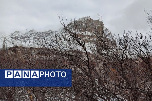 خودنمایی برف در شهر بار نیشابور