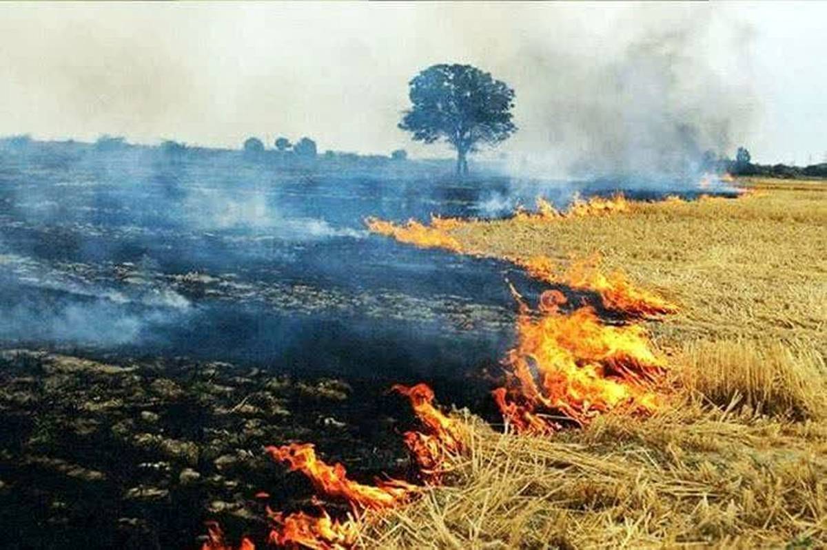 هشدار منابع طبیعی همدان: ۹۰ درصد آتشسوزیها کار انسان است