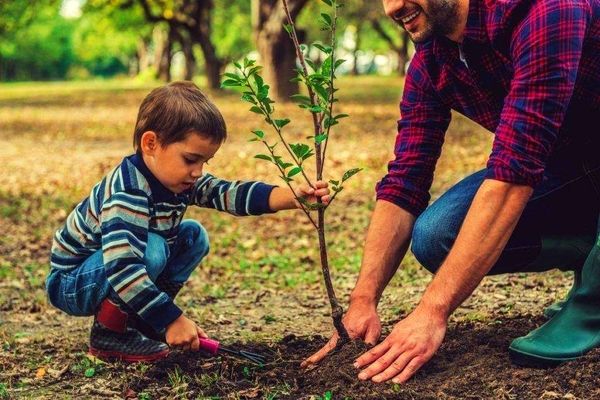 دوستی با محیط‌زیست، آموزشی مفید برای دانش‌آموزان