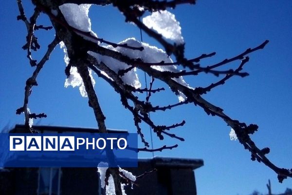 اولین برف زمستانی در بار