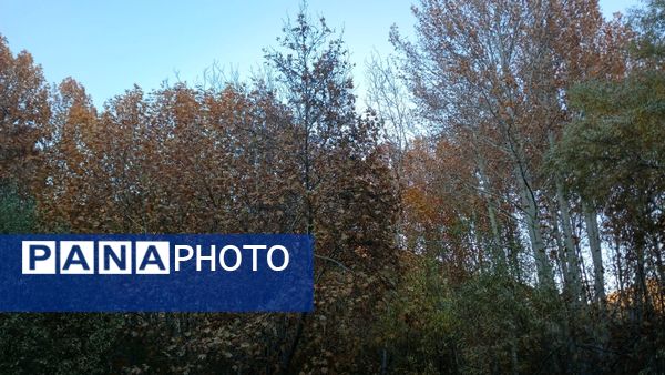 نگاهی کوتاه به طبیعت پاییزی امامزاده بابا پیر احمد (ع) شهرستان بن 