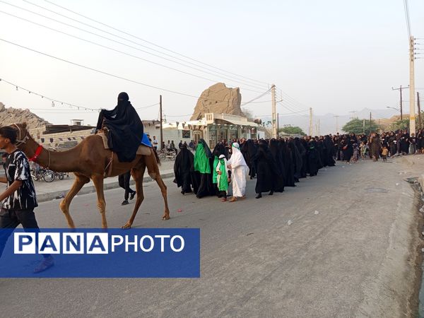 آیین باشکوه کاروان شام تا کربلا در میناب