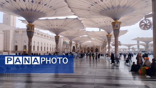 عطر آرامش در آستان پیامبر رحمت