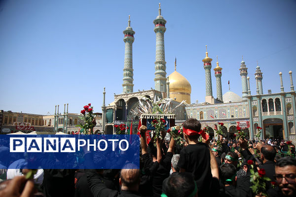 مراسم عزاداری  ۲۸ صفر در قم