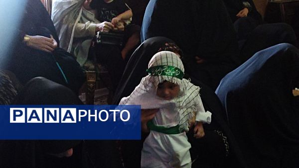 لالایی‌های مادران محمودآبادی برای طفل شش ماهه کربلا 