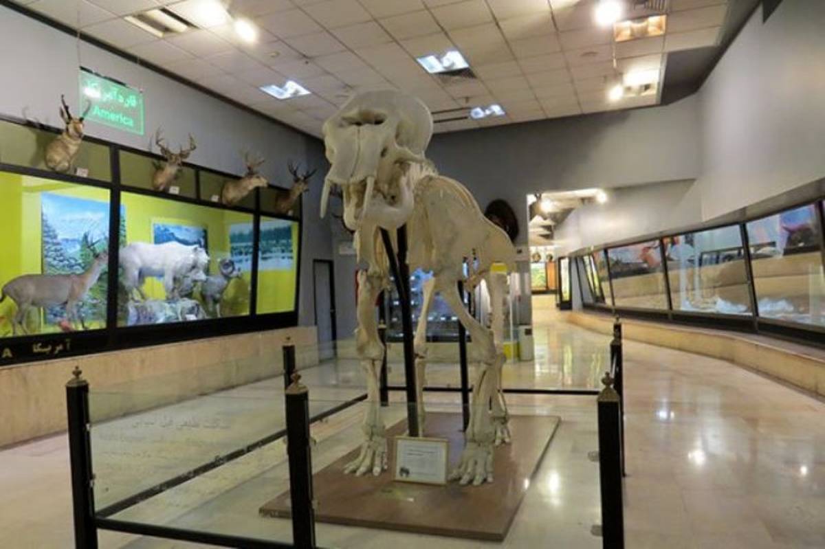 بازدید از موزه تنوع زیستی پارک پردیسان برای یک هفته رایگان شد