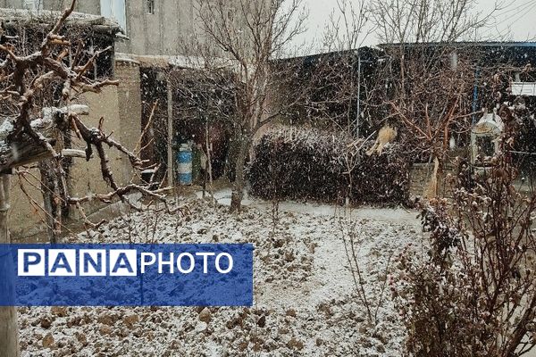 شروع اولین بارش برف زمستانی در بهمن ماه ۱۴۰۳ در شهر زیبای با‌ر