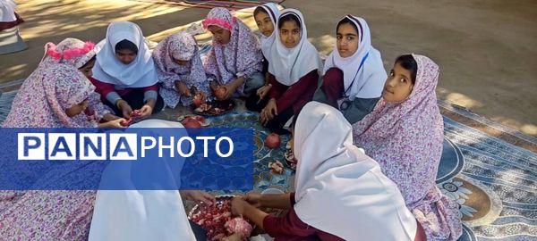 فرهنگ و شادی در جشن یلدای دانش‌آموزان دبستان مولوی فین