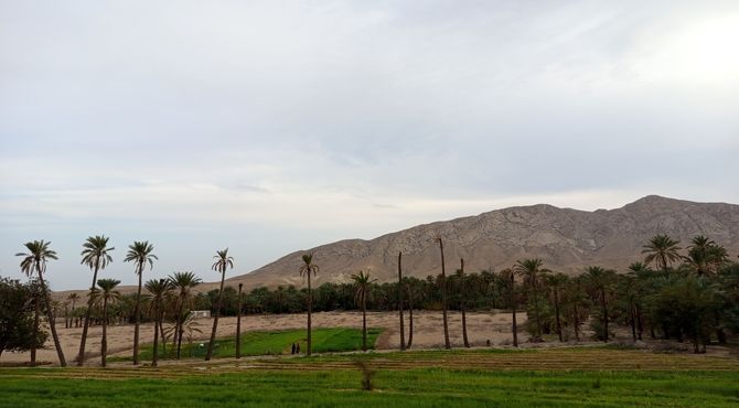 روستای احمدی ، بهشت پنهان گردشگری در دل طبیعت