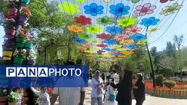 جلوه‌گری رنگ‌ها در دل بهار در یازدهمین جشنواره لاله‌ها در پارک چمران کرج