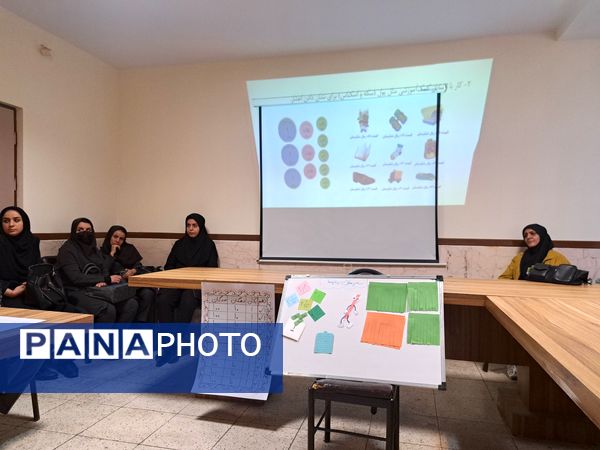 اجرای طرح شورای‌ معلمین هم‌پایه مقطع ابتدایی در دبستان شقایق‌ها شهرستان ملارد 