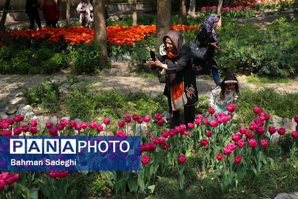 فصل لاله‌ها در بوستان باغ ایرانی