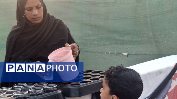 آیین سنتی تعزیه‌‌‌خوانی روز عاشورا در میناب 