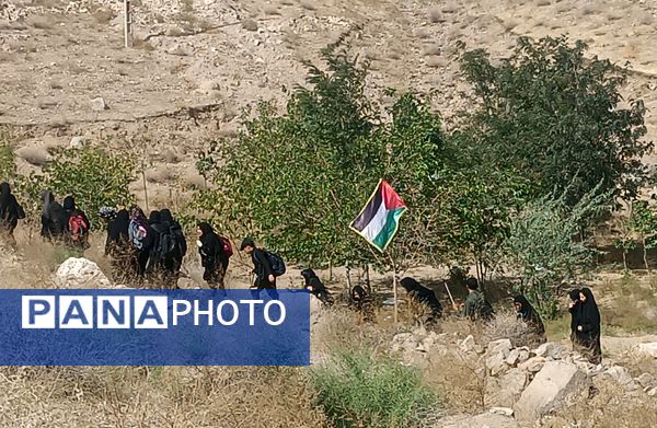 گام هایی از جنس عشق به امام رضا (ع)