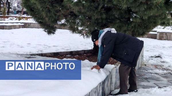 وقتی زمین زیر لحاف سفید برف به خواب میرود