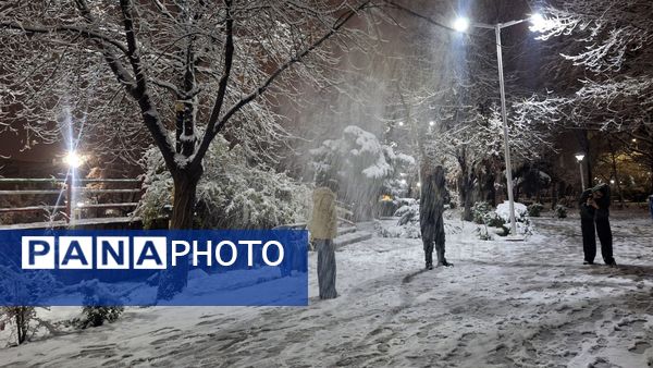 پارک‌های شهر مشهد در آغوش برف