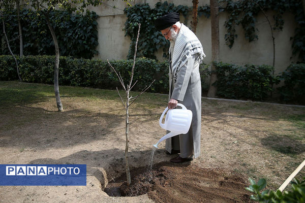 کاشت سه نهال توسط رهبر انقلاب در روز درختکاری