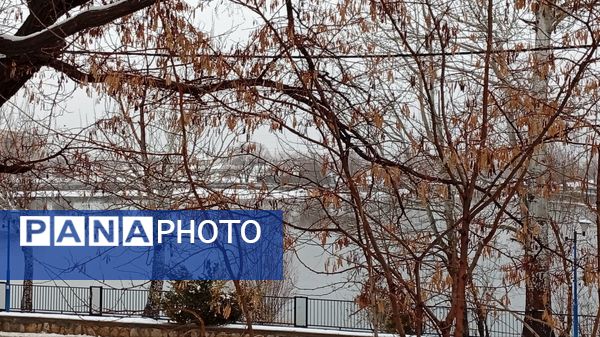 گرداب بن زیر چتر سپید برف