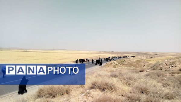 پیاده روی زائران امام رضا(ع) از ملک آباد تا مشهد 
