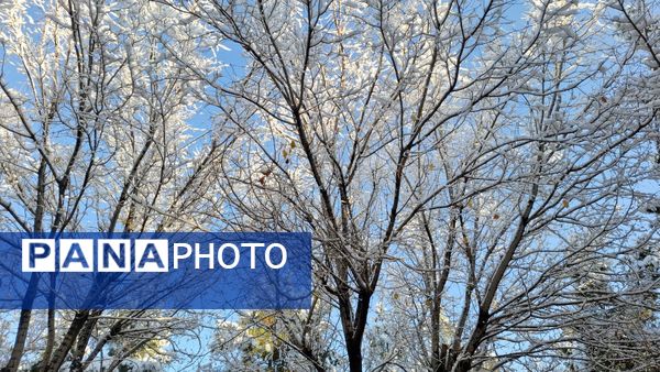 رنگ و بوی زمستان در شهر کهک