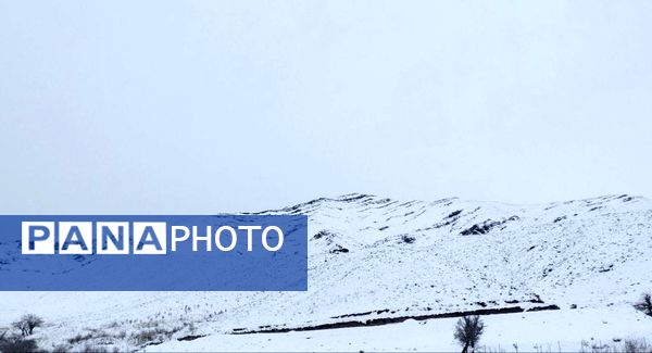 جلگه رخ سفید پوش شد 