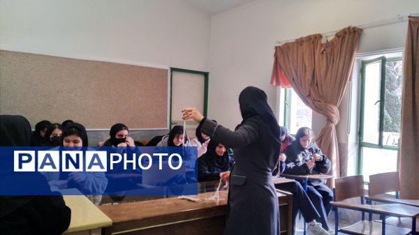 برگزاری دومین روز از مرحله سوم «طرح تمشک» در استان البرز