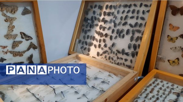 اختتامیه نمایشگاه پژوهش و فناوری در نمایشگاه بین‌المللی مشهد 
