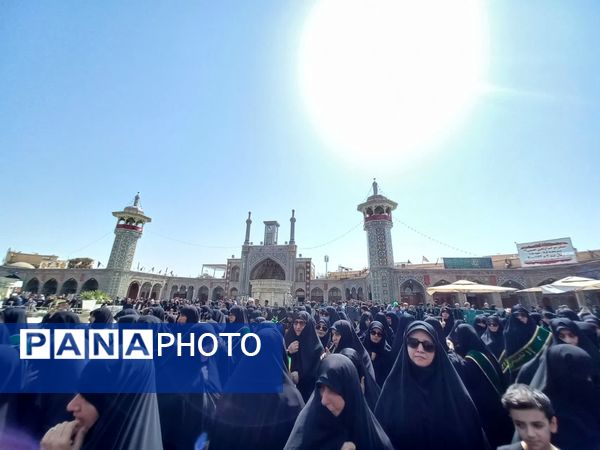 دسته عزاداری بانوان قم در سالروز شهادت امام رضا(ع)