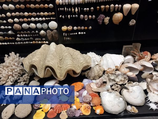 بازدید از پارک علمی تفریحی پروفسور بازیما مشهد