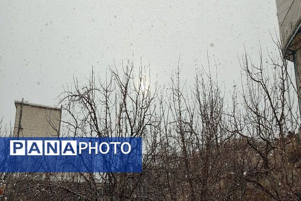 شروع اولین بارش برف زمستانی در بهمن ماه ۱۴۰۳ در شهر زیبای با‌ر