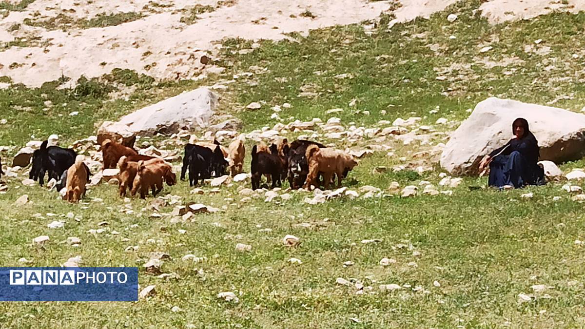 مسیر قارون تا قلعه مدرسه در واپسین لحظههای بهار