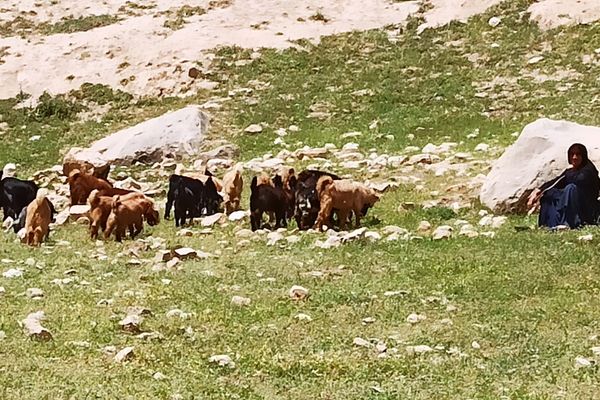 مسیر قارون تا قلعه مدرسه در واپسین لحظه‌های بهار
