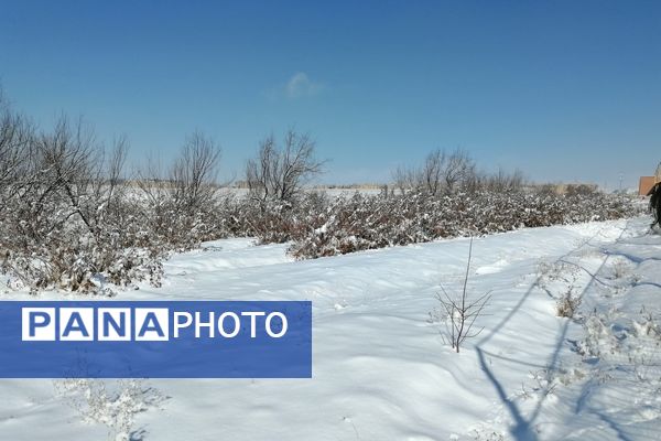 برف زمستانی مهمان دوباره‌ بروجن