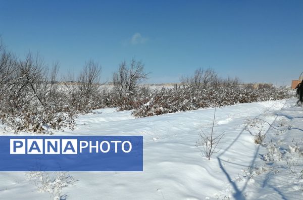 برف زمستانی مهمان دوباره‌ بروجن