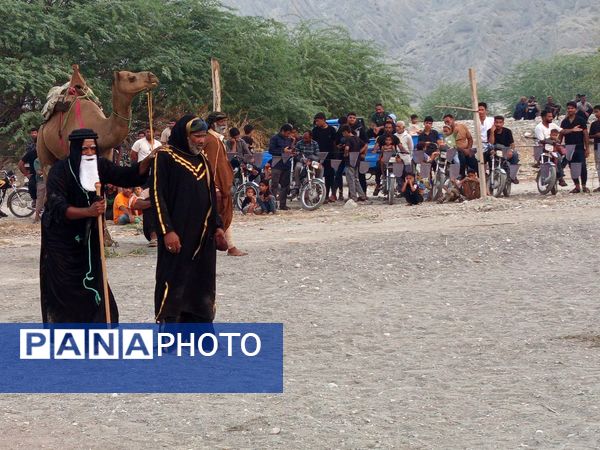 آیین باشکوه کاروان شام تا کربلا در میناب