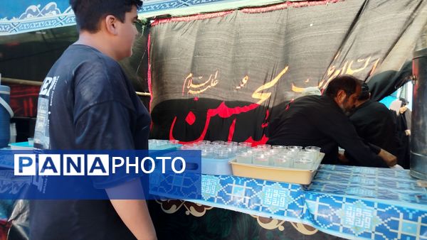 پیاده روی زائران امام رضا(ع) از ملک آباد تا مشهد 