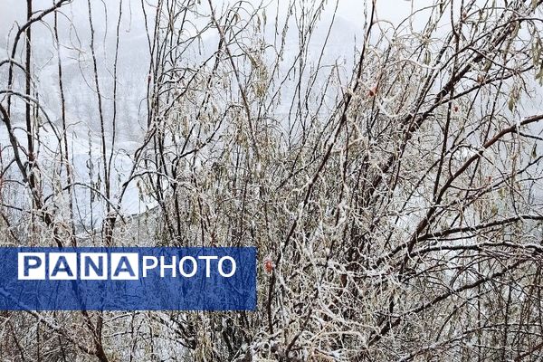 شروع اولین بارش برف زمستانی در بهمن ماه ۱۴۰۳ در شهر زیبای با‌ر