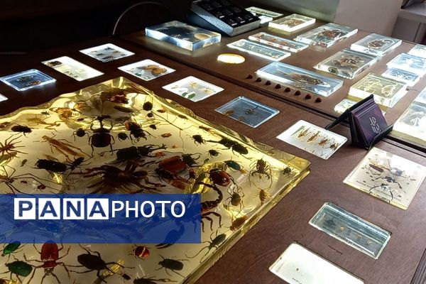 بازدید دانش‌آموزان دبستان صدیقی از آیین اختتامیه رویداد ملی دارالفنون