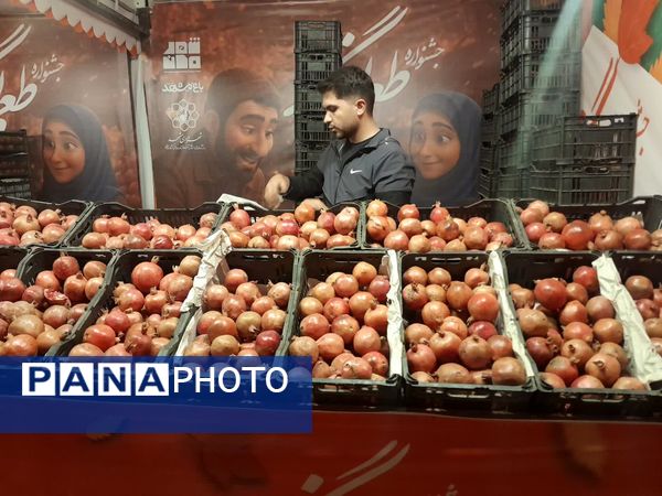 طعم و رنگ در باغ پاییز مشهد