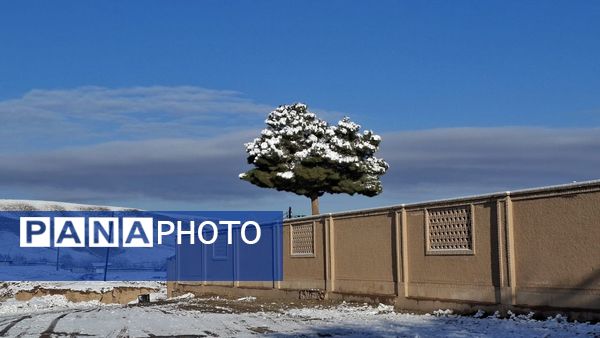 رنگ و بوی زمستان در شهر کهک