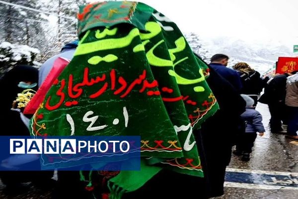 روز برفی گلزار شهدای کرمان 