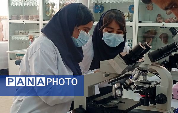 ۳۰ تیم دانشآموزی در مرحله استانی بیست و سومین دوره از مسابقات آزمایشگاهی به رقابت پرداختند