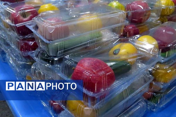 هر فرزند ، هدیه ای از بهشت  عنوان همایش جوانی جمعیت در شهرری 