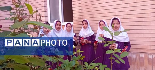مرحله استانی لیگ جت دانش‌آموزی در شهرستان سملقان